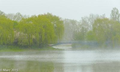 _NK89471.jpg