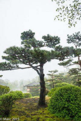 _NK89544.jpg