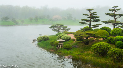 _NK89540.jpg