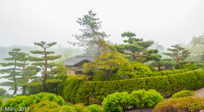 _NK89546.jpg