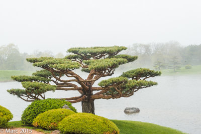 _NK89585.jpg