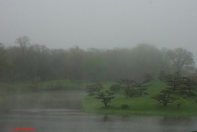 _DSC8581.jpg