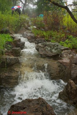 _DSC8590.jpg