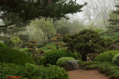 _DSC8623.jpg