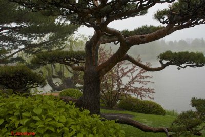 _DSC8628.jpg