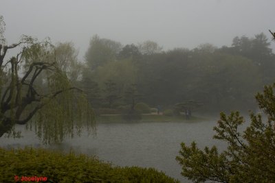 _DSC8630.jpg