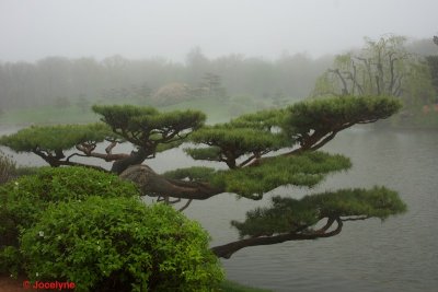 _DSC8647.jpg