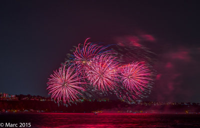 DSCF4226.jpg