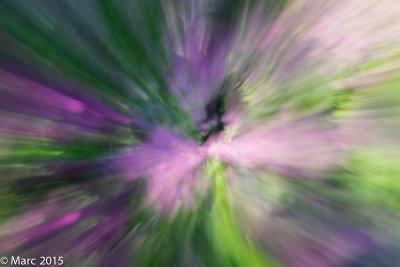DSCF4932.jpg