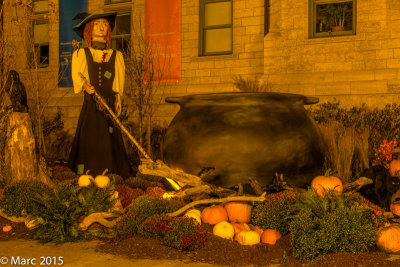 DSCF5550.jpg