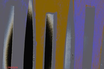 _DSC5683 CC.jpg