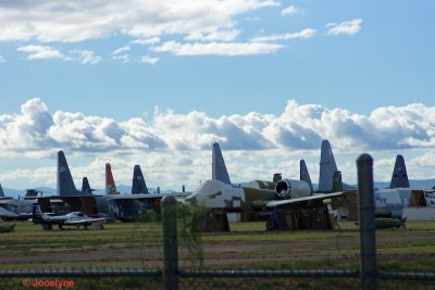 _DSC4464.jpg