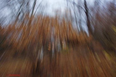 _DSC6269.jpg