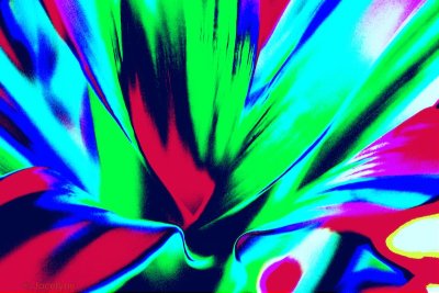 g9/00/892400/3/164849291.RszXZXTv.jpg