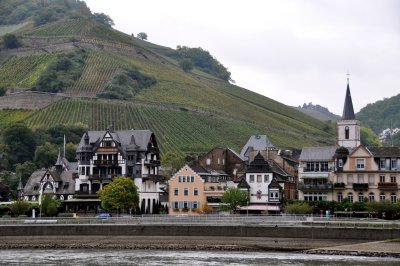 28. Grapes Everywhere: For Famous German Reisling Wine