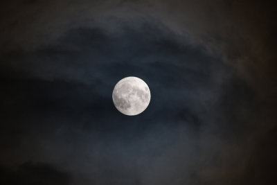 Maan - Moon - Luna