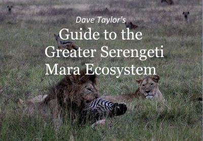 Recent Ebooks and Trade Books