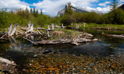 Mount Rundle. Banff N.P.