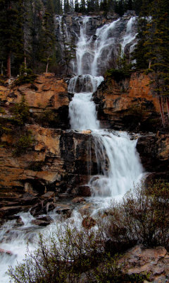 Tangle Falls,  Jasper N.P