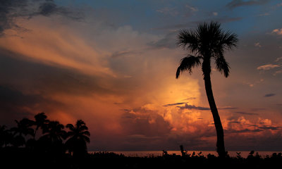 Sunset, Sanibel Island, Florida