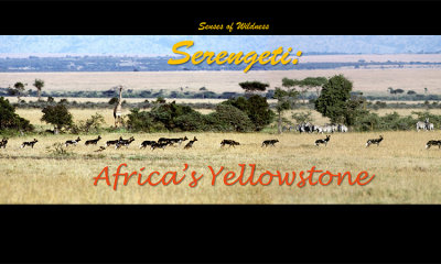 Serengeti: Africa's Yellowstone