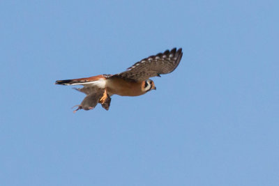 GPM20130217125749.jpg