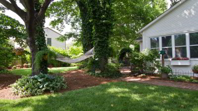 Back Yard
