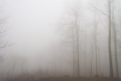 GPM20140328063000.jpg