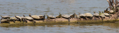 GPM20130818121931.jpg