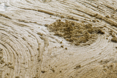 Sea Foam on Beach