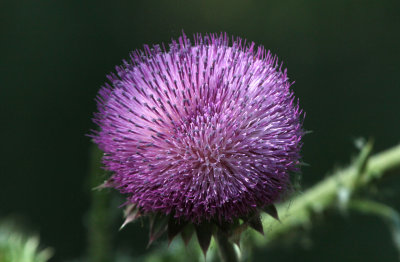 GPM20120528100107.jpg