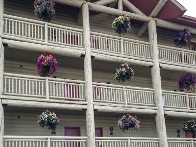 Hanging baskets at St Mary Lodge
