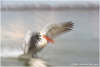 Pleasing blurs