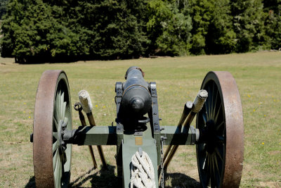 cannon aiming at woods