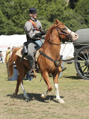 Yankee soldier on horse