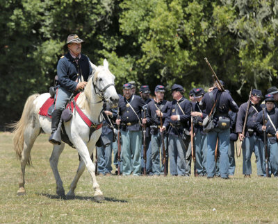 Yankee soldier white horse troops