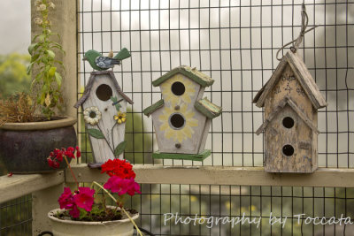 3 birdhouses fog 