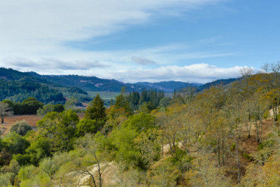 Dry Creek Valley in Fall