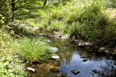 Sugarloaf creek