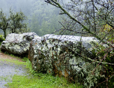 Sugarloaf lichen covered boulders