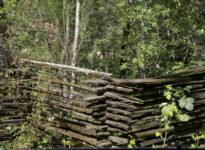 Sugarloaf split rail fence