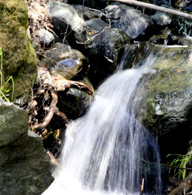 Sugarloaf small waterfall