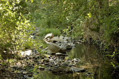 Sugarloaf stream