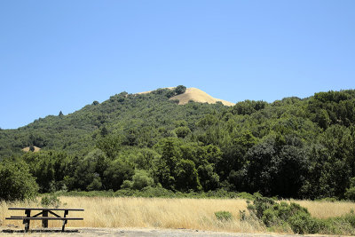 2014 Picnic table and hill