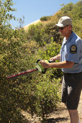 2014 Volunteer trimming back brush on trail