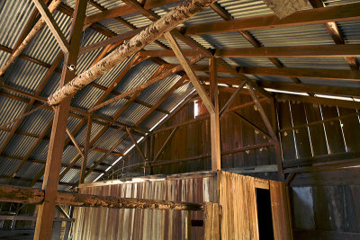 Hurd Barn Rafters