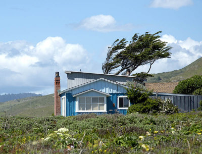 coast blue house