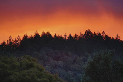 sunset towards Annadel state park