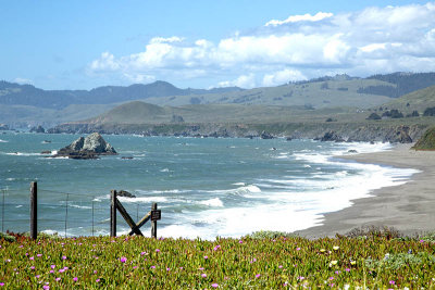 coast Dillon Beach vista