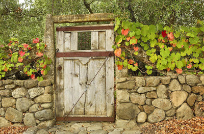 Vineyard Gate